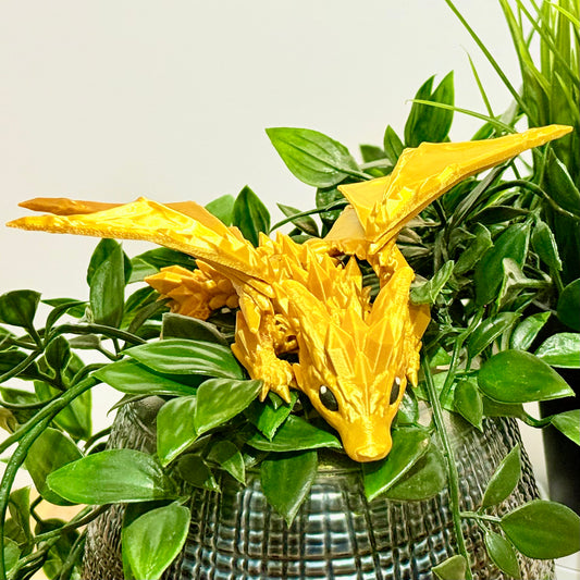 Golden Baby Wolf Dragon
