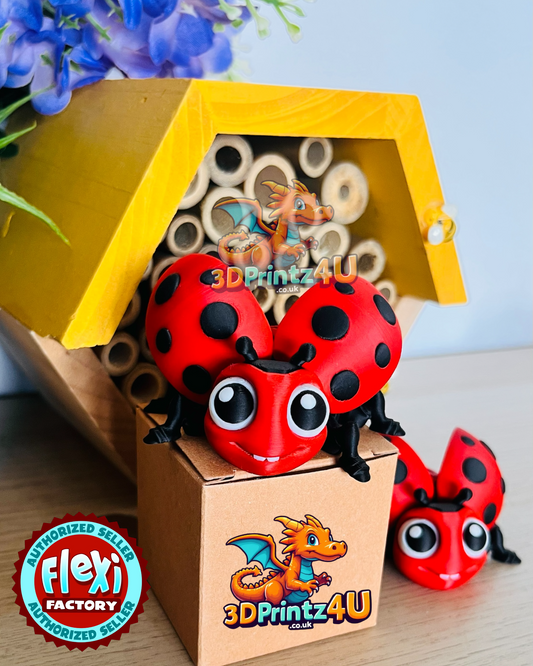 LadyBug LadyBird Fidget