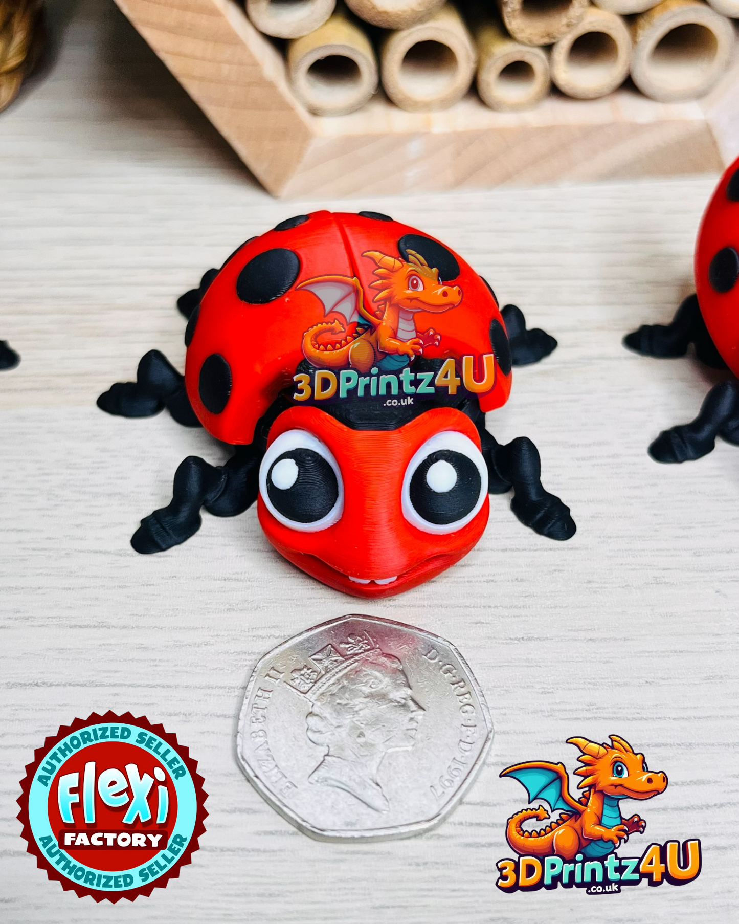 LadyBug LadyBird Fidget